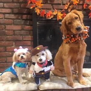 Meet your Posher, Jeff